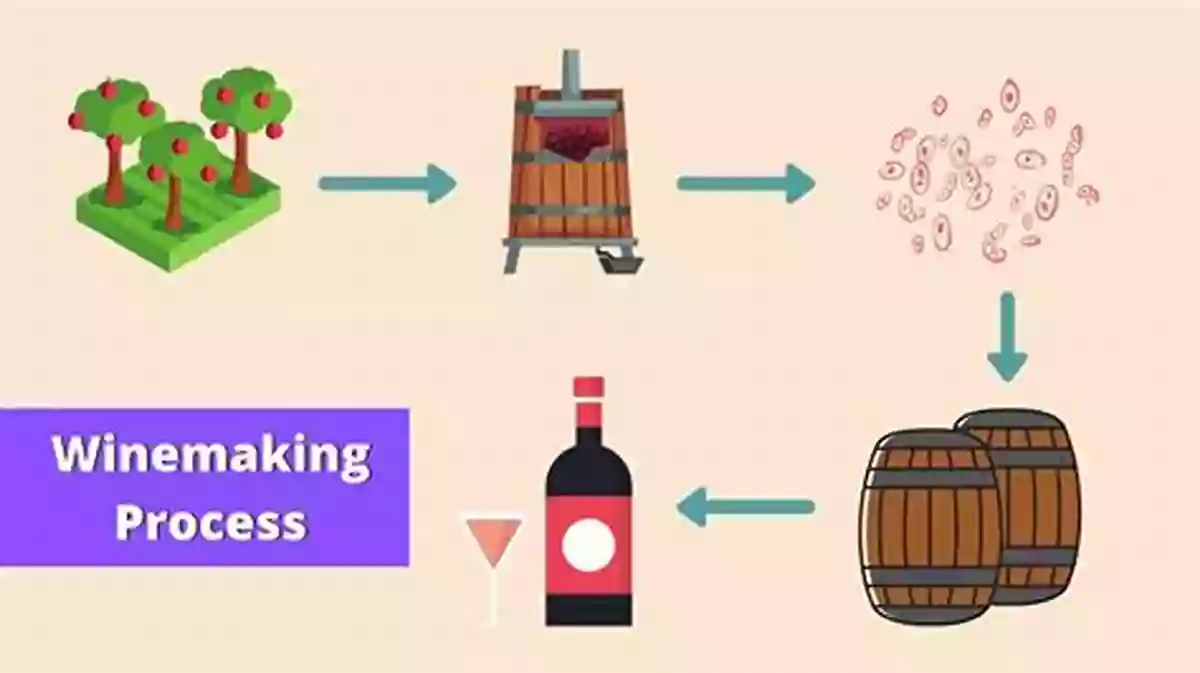 Wine Collecting And Cellaring Step By Step Lessons Drink This Now : Step By Step Lessons For The Aspiring Wine Connoisseur