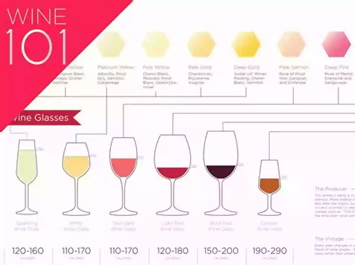 Wine Tasting Uncorked: A Quick And Easy Guide To Wine