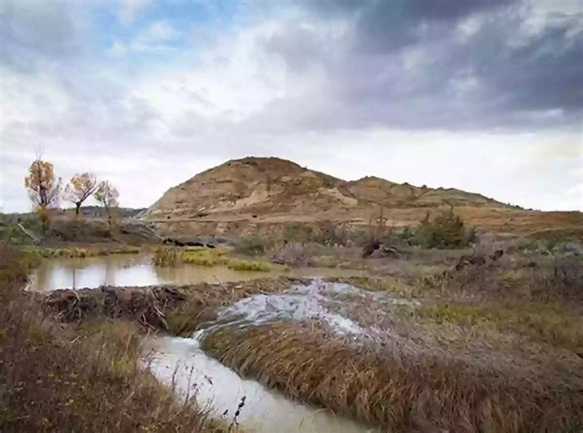 Witness The Splendor Of Wildlife At Birch Creek Ranch The Bequest (The Birch Creek Ranch 1)