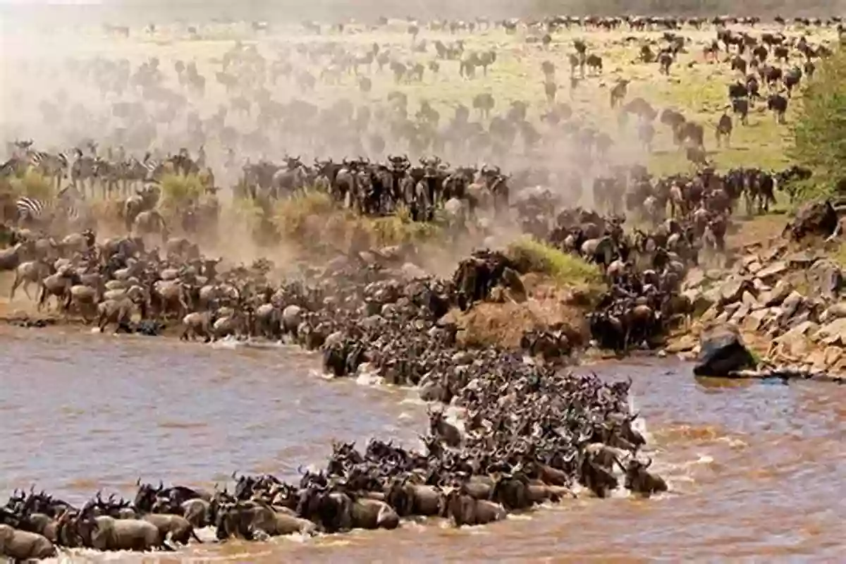 Witnessing The Great Wildebeest Migration In Kenya Minerals Gemstones Of East Africa: Burundi Kenya Rwanda Tanzania And Uganda