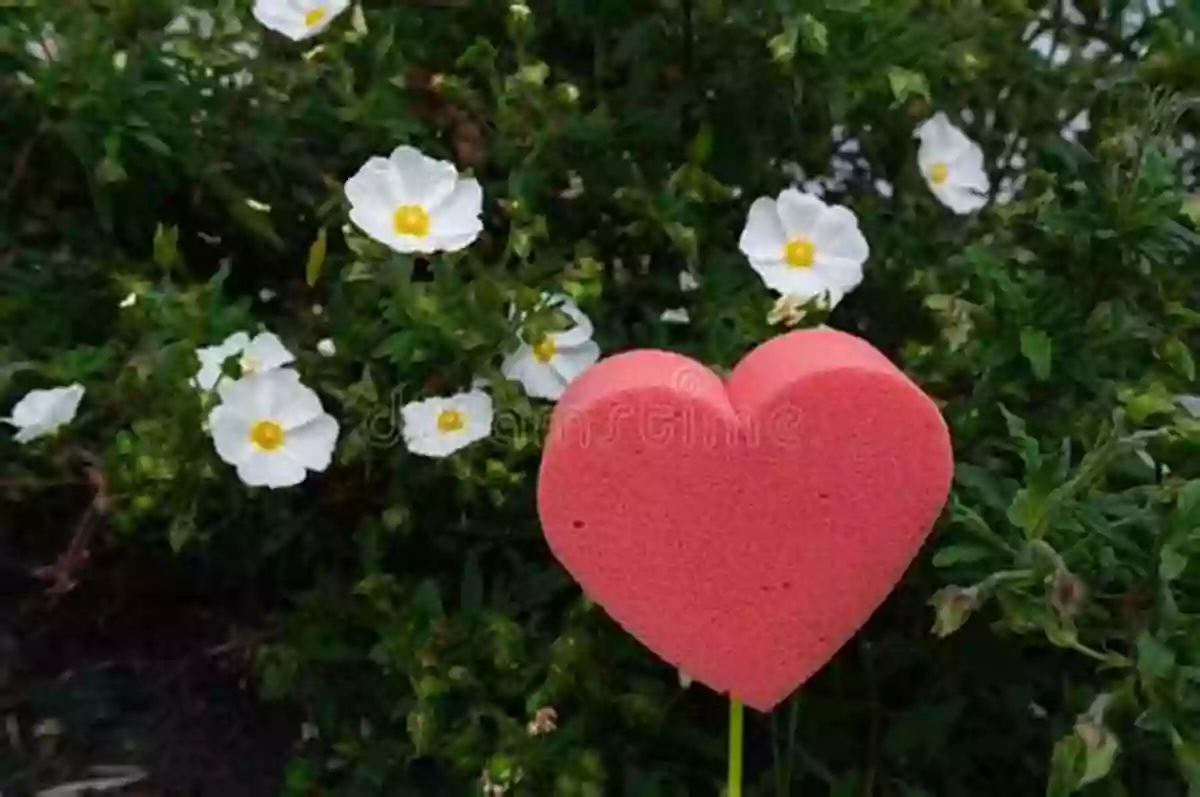 Woman Walking Away With A Torn Heart, Symbolizing Toxic Love, And A Blooming Flower Showing Growth And Transformation Of Toxic Love And Growth: Poetry