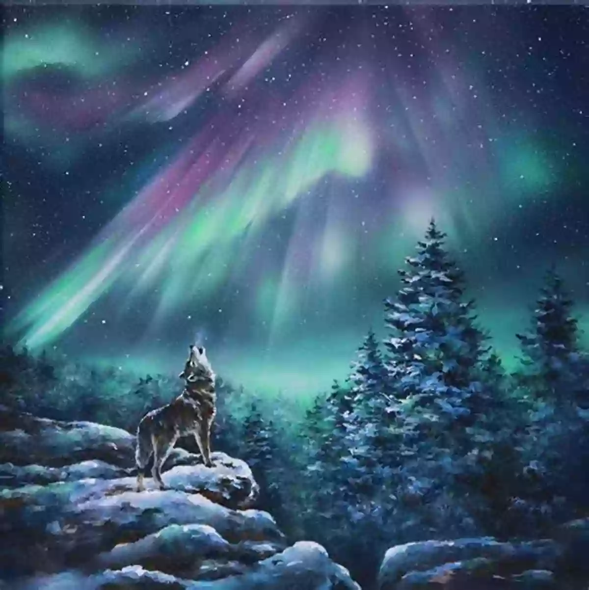 Aurora Borealis Painting The Winter Night Sky With Vibrant Colors Discover Nature In Winter (Discover Nature 6)