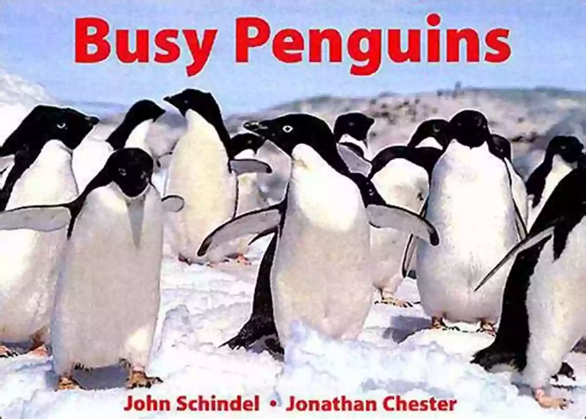 Busy Penguins Busy Book Busy Penguins (A Busy Book)