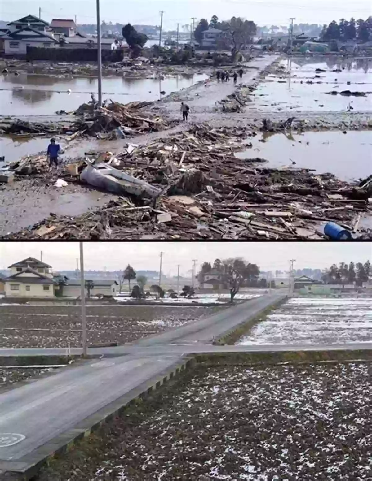 Dramatic Destruction Caused By A Natural Disaster Understanding Tornadoes (21st Century Junior Library: Responding To Natural Disasters)