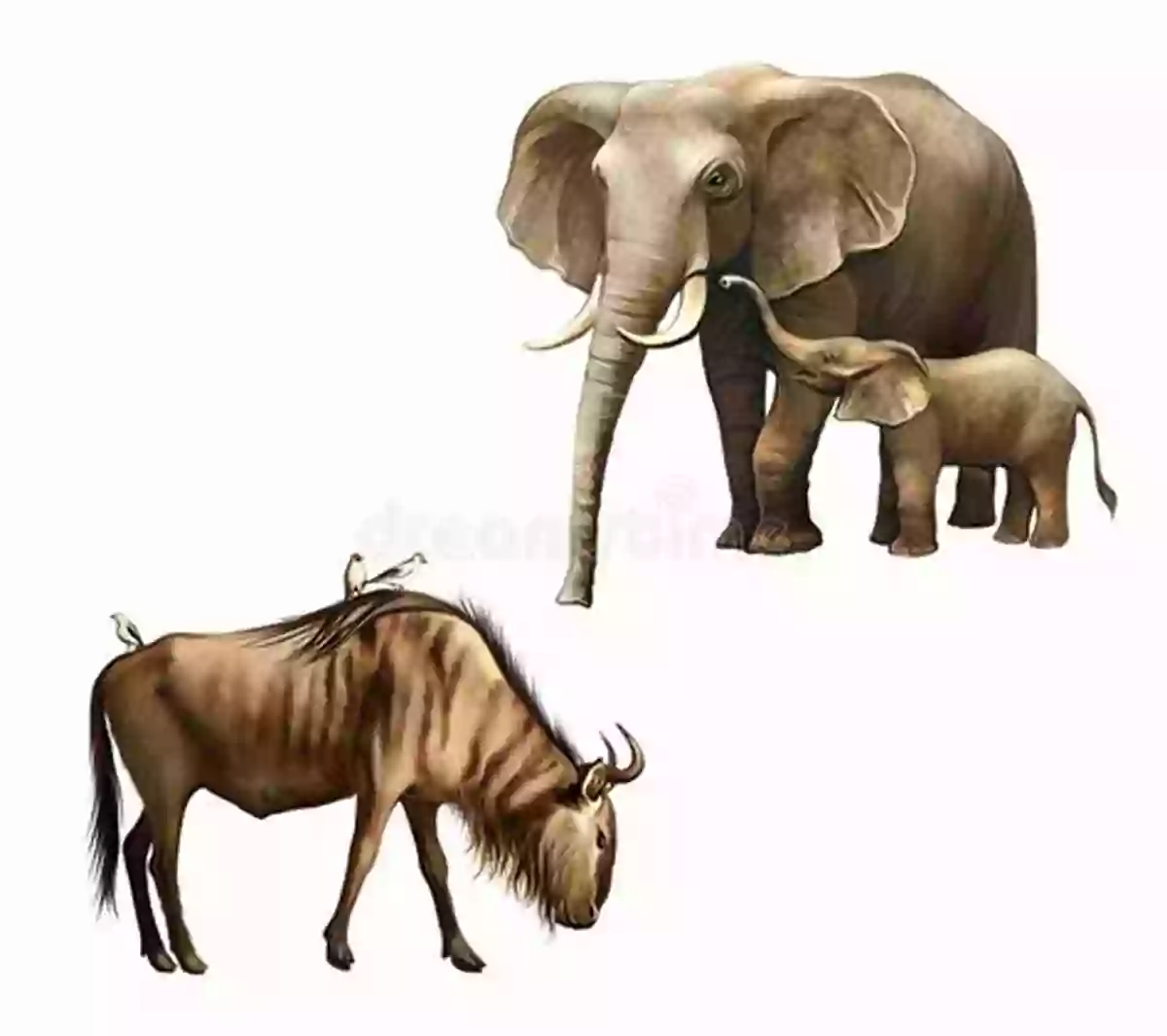 Elephant With A Bird Sitting On Its Back Big And Small Friends: Fun And Simple Early Learning Concepts For Pre Schoolers Aged 2 5