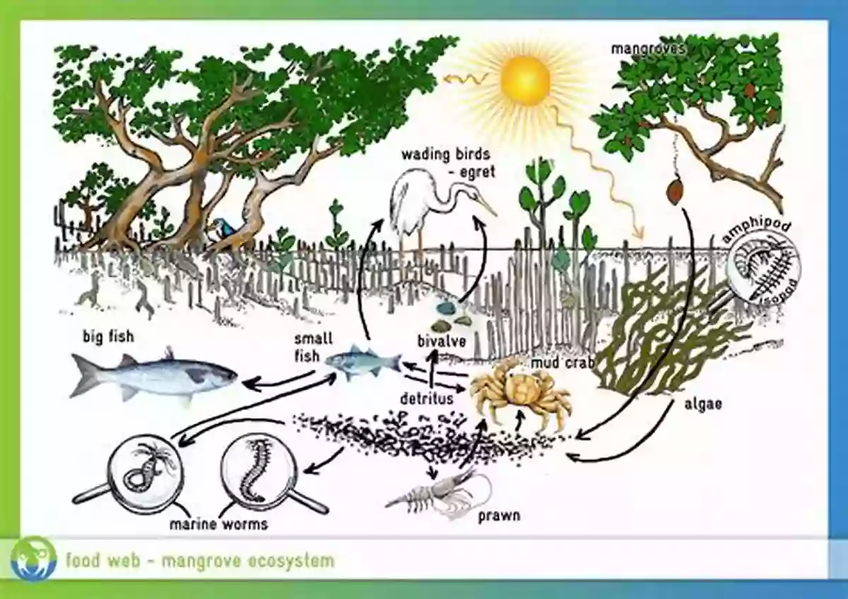 Food Web In A Natural Ecosystem Secrets Of The Garden: Food Chains And The Food Web In Our Background