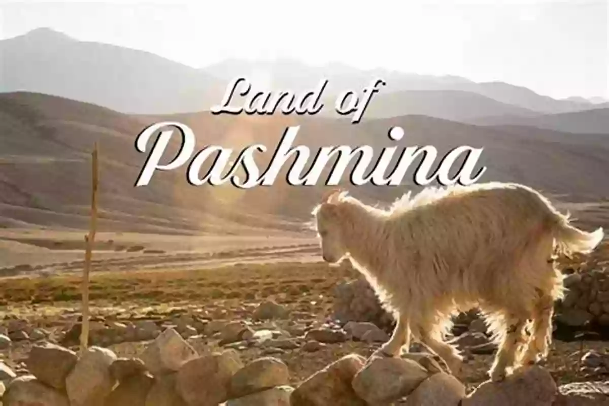 Thrilling Adventures In Pashmina In The Far Pashmina Mountains